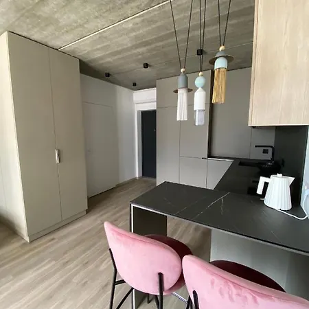 Апартаменти J. Ralio Apartamentai Аеропорт Вільнюс